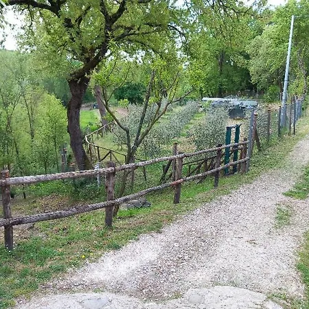 La Chimera Arezzo