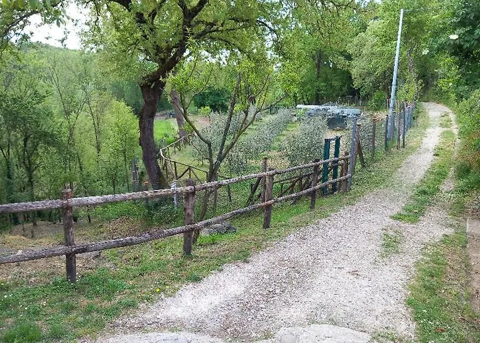 La Chimera アレッツォ